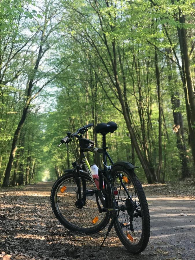 "Casa20200" 2 X Apartments Je 150Qm Fuer Business, Familien, Gruppen, Handwerker 15Min Von Berlin, Erdbeerhof, Outlet B5, 5Min Vom See Falkensee !! 2 Apartment Each 150Qm For Business , Families 15Min From Berlin!! المظهر الخارجي الصورة